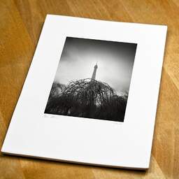 Art and collection photography Denis Olivier, Eiffel Tower, Park And Gardens, Paris, France. February 2023. Ref-11678 - Denis Olivier Art Photography, original fine-art photograph print in limited edition and signed