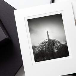 Art and collection photography Denis Olivier, Eiffel Tower, Park And Gardens, Paris, France. February 2023. Ref-11678 - Denis Olivier Art Photography, original photographic print in limited edition and signed, framed in acid free mat board