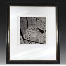 Art and collection photography Denis Olivier, Espagne. March 2000. Ref-128 - Denis Olivier Art Photography, original fine-art photograph in limited edition and signed in black and gold wood frame