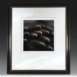 Art and collection photography Denis Olivier, Fishes Shoal, Garonne River, Bordeaux, France. May 2005. Ref-596 - Denis Olivier Photography, original fine-art photograph in limited edition and signed in black and gold wood frame