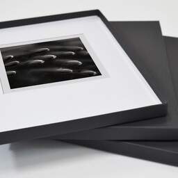 Art and collection photography Denis Olivier, Fishes Shoal, Garonne River, Bordeaux, France. May 2005. Ref-596 - Denis Olivier Photography, original fine-art photograph in limited edition and signed in a folding and archival conservation box