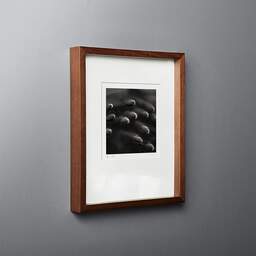 Art and collection photography Denis Olivier, Fishes Shoal, Garonne River, Bordeaux, France. May 2005. Ref-596 - Denis Olivier Art Photography, original fine-art photograph in limited edition and signed in dark wood frame