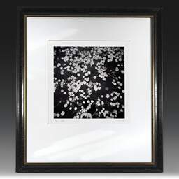 Art and collection photography Denis Olivier, Floating Leaves, Botanical Garden, Bordeaux, France. October 2020. Ref-1423 - Denis Olivier Photography, original fine-art photograph in limited edition and signed in black and gold wood frame