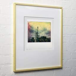 Art and collection photography Denis Olivier, Flowered Factory, Dublin, Ireland. June 2015. Ref-1306 - Denis Olivier Photography, light wood frame on white wall
