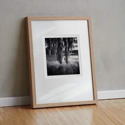Art and collection photography Denis Olivier, François Soula Lake, Plaisance-du-Touch, France. June 2021. Ref-11453 - Denis Olivier Photography, original fine-art photograph in limited edition and signed in light wood frame