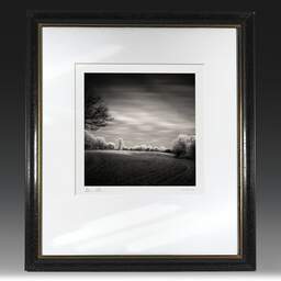 Art and collection photography Denis Olivier, Frozen Morning, Coperit, France. December 2005. Ref-848 - Denis Olivier Photography, original fine-art photograph in limited edition and signed in black and gold wood frame