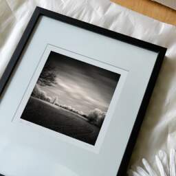 Art and collection photography Denis Olivier, Frozen Morning, Coperit, France. December 2005. Ref-848 - Denis Olivier Photography, reception and unpacking of an original fine-art photograph in limited edition and signed in a black wooden frame