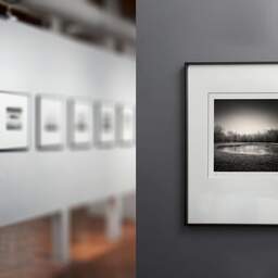 Art and collection photography Denis Olivier, Frozen Pond, Coperit, France. December 2005. Ref-894 - Denis Olivier Photography, gallery exhibition with black frame