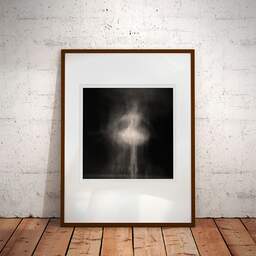 Art and collection photography Denis Olivier, Ghost Opera, Etude 1, Gala Des étoiles, Champs-Elysées Theater, Paris, France. September 2005. Ref-840 - Denis Olivier Art Photography, Large original photographic art print in limited edition and signed framed in an brown wood frame