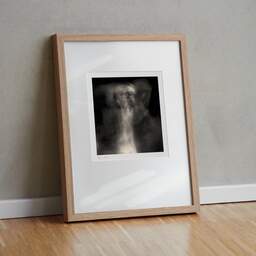 Art and collection photography Denis Olivier, Ghost Opera, Etude 12, The Swan Lake, Berlin. April 1998. Ref-862 - Denis Olivier Photography, original fine-art photograph in limited edition and signed in light wood frame
