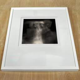 Art and collection photography Denis Olivier, Ghost Opera, Etude 12, The Swan Lake, Berlin. April 1998. Ref-862 - Denis Olivier Art Photography, white frame on a wooden table