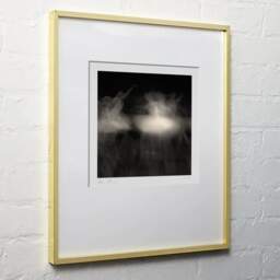 Art and collection photography Denis Olivier, Ghost Opera, Etude 14, The Swan Lake, Berlin, Germany. April 1998. Ref-864 - Denis Olivier Photography, light wood frame on white wall