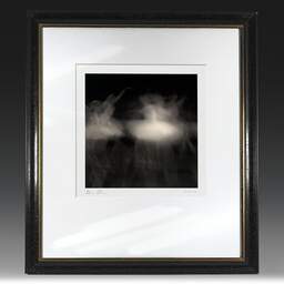 Art and collection photography Denis Olivier, Ghost Opera, Etude 14, The Swan Lake, Berlin, Germany. April 1998. Ref-864 - Denis Olivier Photography, original fine-art photograph in limited edition and signed in black and gold wood frame
