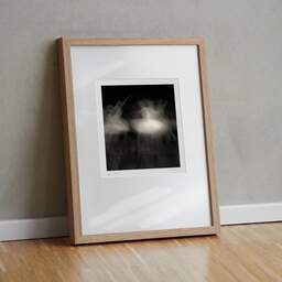 Art and collection photography Denis Olivier, Ghost Opera, Etude 14, The Swan Lake, Berlin, Germany. April 1998. Ref-864 - Denis Olivier Photography, original fine-art photograph in limited edition and signed in light wood frame