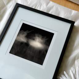 Art and collection photography Denis Olivier, Ghost Opera, Etude 14, The Swan Lake, Berlin, Germany. April 1998. Ref-864 - Denis Olivier Art Photography, reception and unpacking of an original fine-art photograph in limited edition and signed in a black wooden frame