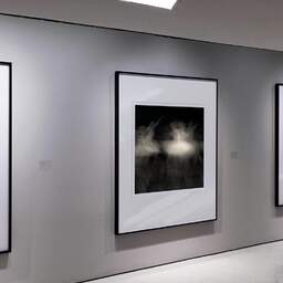 Art and collection photography Denis Olivier, Ghost Opera, Etude 14, The Swan Lake, Berlin, Germany. April 1998. Ref-864 - Denis Olivier Art Photography, Exhibition of a large original photographic art print in limited edition and signed