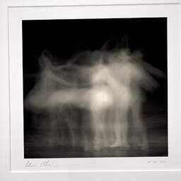 Art and collection photography Denis Olivier, Ghost Opera, Etude 15, The Swan Lake, Berlin. April 1998. Ref-865 - Denis Olivier Photography, original photographic print in limited edition and signed, framed under cardboard mat