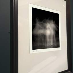 Art and collection photography Denis Olivier, Ghost Opera, Etude 15, The Swan Lake, Berlin. April 1998. Ref-865 - Denis Olivier Photography, brown wood old frame on dark gray background