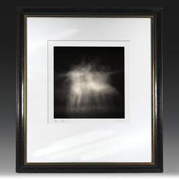 Art and collection photography Denis Olivier, Ghost Opera, Etude 16, The Swan Lake, Berlin. April 1998. Ref-866 - Denis Olivier Photography, original fine-art photograph in limited edition and signed in black and gold wood frame