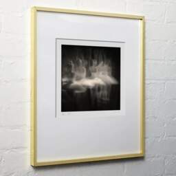 Art and collection photography Denis Olivier, Ghost Opera, Etude 17, The Swan Lake, Berlin, Germany. April 1998. Ref-867 - Denis Olivier Photography, light wood frame on white wall