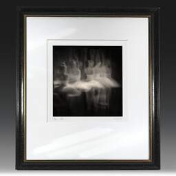 Art and collection photography Denis Olivier, Ghost Opera, Etude 17, The Swan Lake, Berlin, Germany. April 1998. Ref-867 - Denis Olivier Photography, original fine-art photograph in limited edition and signed in black and gold wood frame
