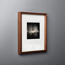 Art and collection photography Denis Olivier, Ghost Opera, Etude 17, The Swan Lake, Berlin, Germany. April 1998. Ref-867 - Denis Olivier Photography, original fine-art photograph in limited edition and signed in dark wood frame