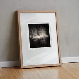 Art and collection photography Denis Olivier, Ghost Opera, Etude 17, The Swan Lake, Berlin, Germany. April 1998. Ref-867 - Denis Olivier Photography, original fine-art photograph in limited edition and signed in light wood frame