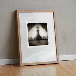 Art and collection photography Denis Olivier, Ghost Opera, Etude 28. October 2007. Ref-1111 - Denis Olivier Art Photography, original fine-art photograph in limited edition and signed in light wood frame