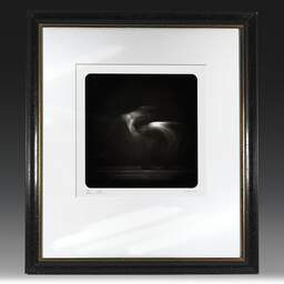 Art and collection photography Denis Olivier, Ghost Opera, Etude 31. February 2009. Ref-1210 - Denis Olivier Photography, original fine-art photograph in limited edition and signed in black and gold wood frame