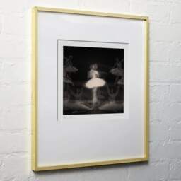 Art and collection photography Denis Olivier, Ghost Opera, Etude 32, The Swan Lake, Berlin, Germany. April 1998. Ref-11468 - Denis Olivier Photography, light wood frame on white wall