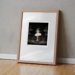 Art and collection photography Denis Olivier, Ghost Opera, Etude 32, The Swan Lake, Berlin, Germany. April 1998. Ref-11468 - Denis Olivier Photography, original fine-art photograph in limited edition and signed in light wood frame