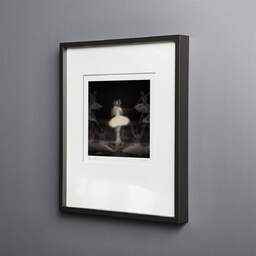 Art and collection photography Denis Olivier, Ghost Opera, Etude 32, The Swan Lake, Berlin, Germany. April 1998. Ref-11468 - Denis Olivier Photography, black wood frame on gray background