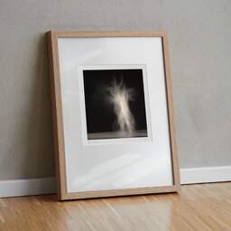 Art and collection photography Denis Olivier, Ghost Opera, Etude 21. November 2006. Ref-1061 - Denis Olivier Photography, original fine-art photograph in limited edition and signed in light wood frame