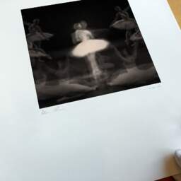 Art and collection photography Denis Olivier, Ghost Opera, Etude 32, The Swan Lake, Berlin, Germany. April 1998. Ref-11468 - Denis Olivier Photography, original fine-art photograph print in limited edition and signed