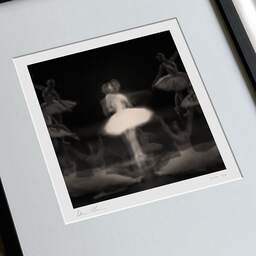 Art and collection photography Denis Olivier, Ghost Opera, Etude 32, The Swan Lake, Berlin, Germany. April 1998. Ref-11468 - Denis Olivier Photography, large original 9 x 9 inches fine-art photograph print in limited edition, framed and signed