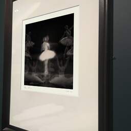 Art and collection photography Denis Olivier, Ghost Opera, Etude 32, The Swan Lake, Berlin, Germany. April 1998. Ref-11468 - Denis Olivier Photography, brown wood old frame on dark gray background