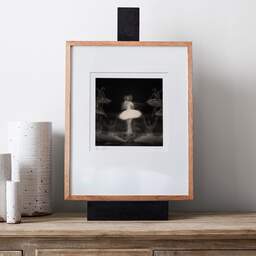 Art and collection photography Denis Olivier, Ghost Opera, Etude 32, The Swan Lake, Berlin, Germany. April 1998. Ref-11468 - Denis Olivier Photography, gallery exhibition with black frame