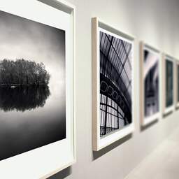 Art and collection photography Denis Olivier, Island, De La Forêt Pond, Brittany, France. December 2007. Ref-1255 - Denis Olivier Art Photography, Large original photographic art print in limited edition and signed during an exhibition
