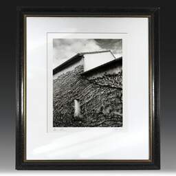 Art and collection photography Denis Olivier, Ivy House, Royan, France. December 2023. Ref-11655 - Denis Olivier Photography, original fine-art photograph in limited edition and signed in black and gold wood frame