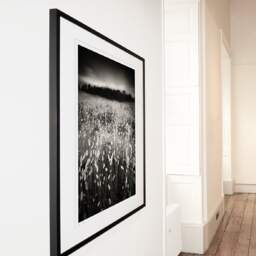 Art and collection photography Denis Olivier, Lagurus Ovatus Field, Baie De Bonne Anse, France. June 2020. Ref-1346 - Denis Olivier Art Photography, Large original photographic art print in limited edition and signed