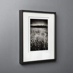 Art and collection photography Denis Olivier, Lagurus Ovatus Field, Baie De Bonne Anse, France. June 2020. Ref-1346 - Denis Olivier Photography, black wood frame on gray background