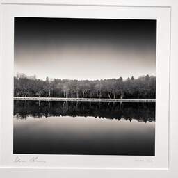Art and collection photography Denis Olivier, Lake Bank, Kerguehennec Castle Park, France. January 2008. Ref-1129 - Denis Olivier Art Photography, original photographic print in limited edition and signed, framed under cardboard mat