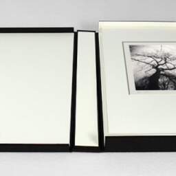 Art and collection photography Denis Olivier, Last Leaves, Parc Bordelais, Bordeaux, France. December 2020. Ref-1403 - Denis Olivier Photography, photograph with matte folding in a luxury book presentation box
