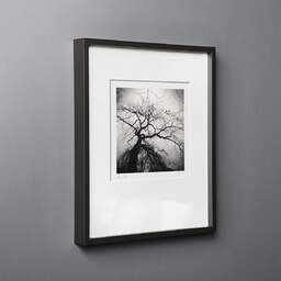 Art and collection photography Denis Olivier, Last Leaves, Parc Bordelais, Bordeaux, France. December 2020. Ref-1403 - Denis Olivier Photography, black wood frame on gray background