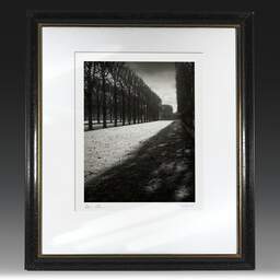 Art and collection photography Denis Olivier, Light Over Great Lawn, Luxembourg Garden, France. February 2022. Ref-11663 - Denis Olivier Photography, original fine-art photograph in limited edition and signed in black and gold wood frame