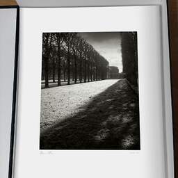 Art and collection photography Denis Olivier, Light Over Great Lawn, Luxembourg Garden, France. February 2022. Ref-11663 - Denis Olivier Photography, original photographic print in limited edition and signed, framed under cardboard mat