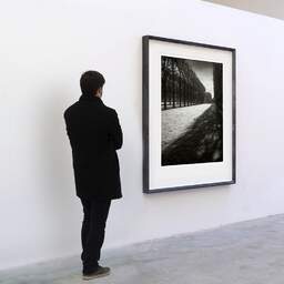 Art and collection photography Denis Olivier, Light Over Great Lawn, Luxembourg Garden, France. February 2022. Ref-11663 - Denis Olivier Photography, A visitor contemplate a large original photographic art print in limited edition and signed in a black frame