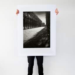 Art and collection photography Denis Olivier, Light Over Great Lawn, Luxembourg Garden, France. February 2022. Ref-11663 - Denis Olivier Photography, Large original photographic art print in limited edition and signed tenu par un homme
