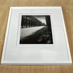 Art and collection photography Denis Olivier, Light Over Great Lawn, Luxembourg Garden, France. February 2022. Ref-11663 - Denis Olivier Photography, white frame on a wooden table