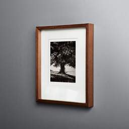 Art and collection photography Denis Olivier, Lime Tree, La Noraie, Luçay-le-Mâle, France. August 2021. Ref-11606 - Denis Olivier Photography, original fine-art photograph in limited edition and signed in dark wood frame